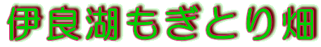 �ɗǌ΂����Ƃ蔨
